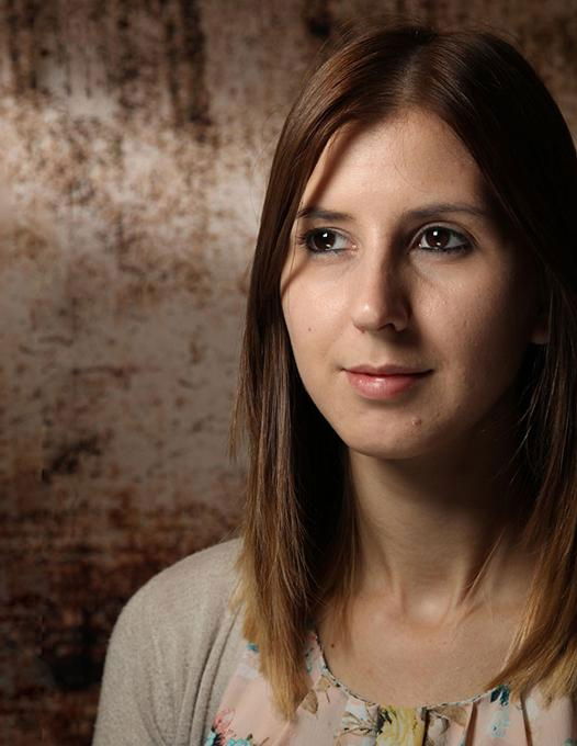 Lastolite Voleuri dedicat Strobo - Resigilat - View 2