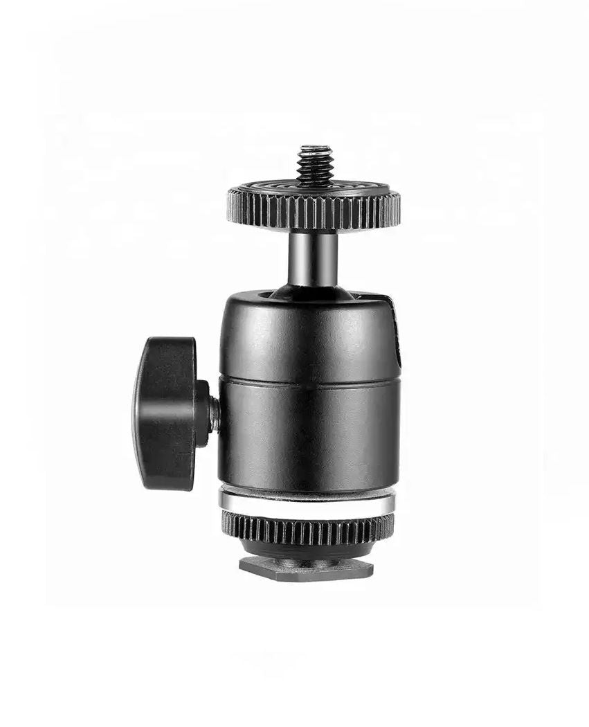 Cap bila solid cu patina la baza - View 1