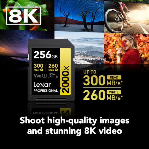 256GB SDXC Pro 2000X UHS-II SD card showing up to 300MB/s read and 260MB/s write