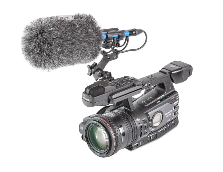 Shock mount with furry windscreen attached to camera body and top controls