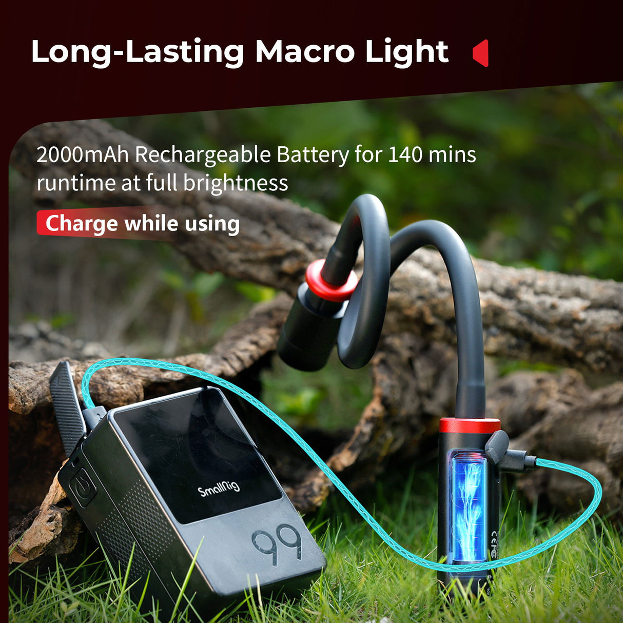 Rechargeable macro LED light with flexible gooseneck and external battery pack