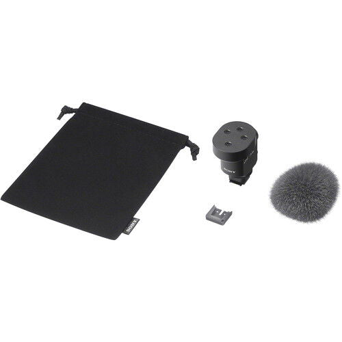 Microphone kit: gray windscreen, small adapter, mounting plate, and black pouch
