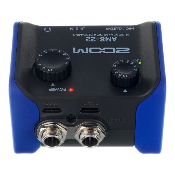 AMS-22 audio interface rear jacks with LINE IN and OUTPUT labels, plus gain knobs