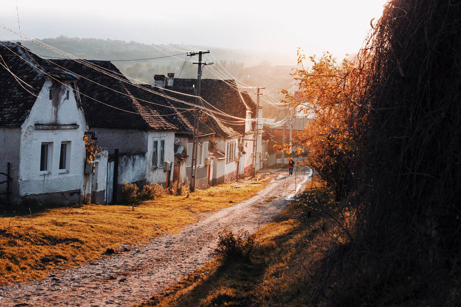 Profil de fotograf: Victor Radulescu