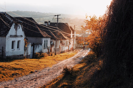Profil de fotograf: Victor Radulescu