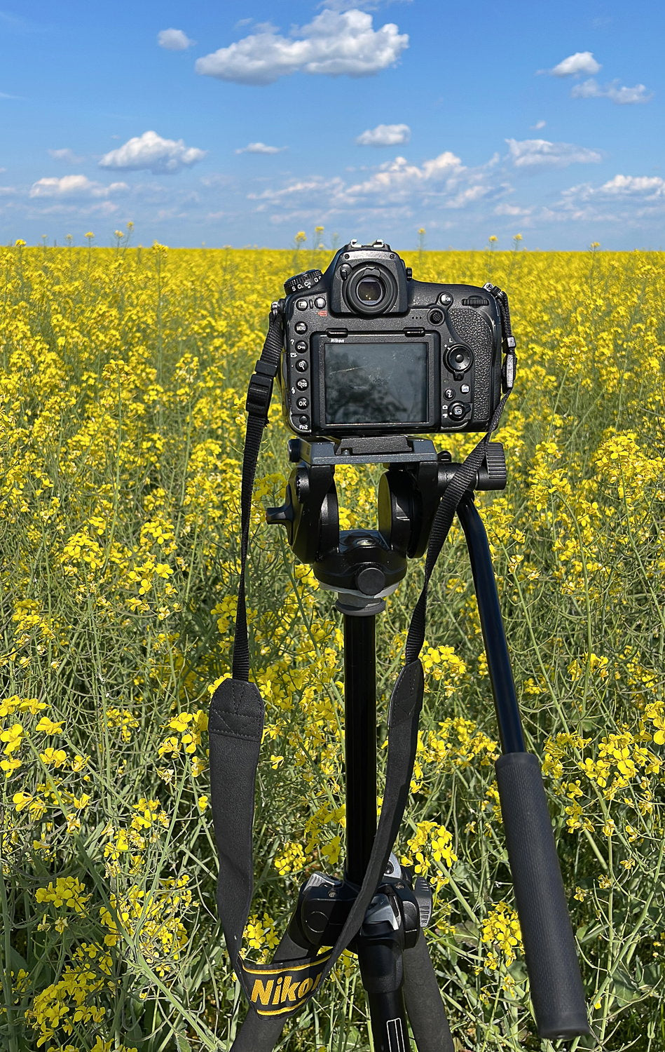 #1 I love Manfrotto: povestea lui Dragos Asaftei