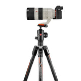 Manfrotto Befree GT Alfa Trepied foto carbon - View 3