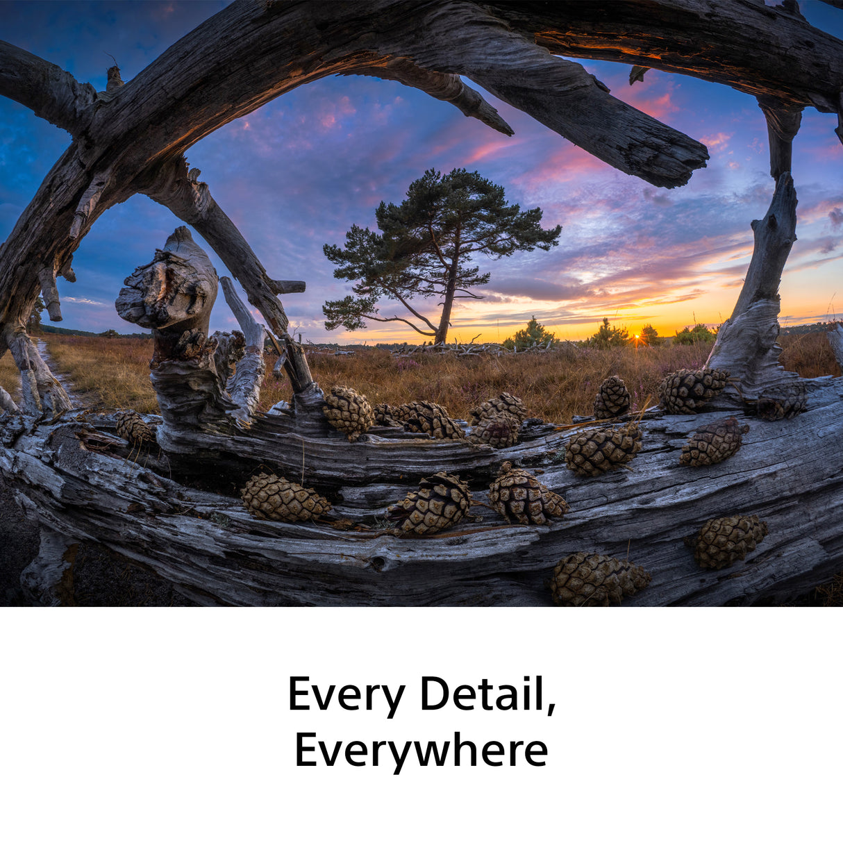 Sony 8-14mm F3.5 Fisheye G obiectiv mirrorless Sony FE