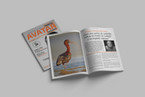 Avatar Photo Magazine Nr. 6 revista educatie vizuala - View 2