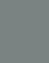 Colorama fundal PVC Slate - View 2