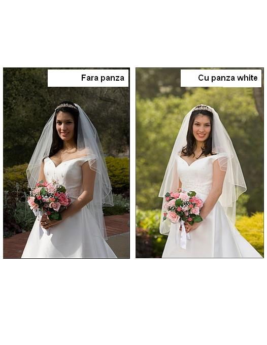 Photoflex LP-3972WG panza gold/white 99x183cm - View 2