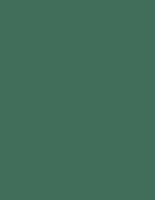 Colorama fundal foto verde Spurce Green 2,72 x 11m - View 1