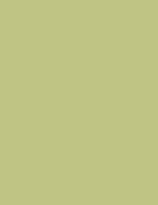 Fundal foto Colorama verde Fern 2,72 x 11 m, material textil, suprafață netedă.