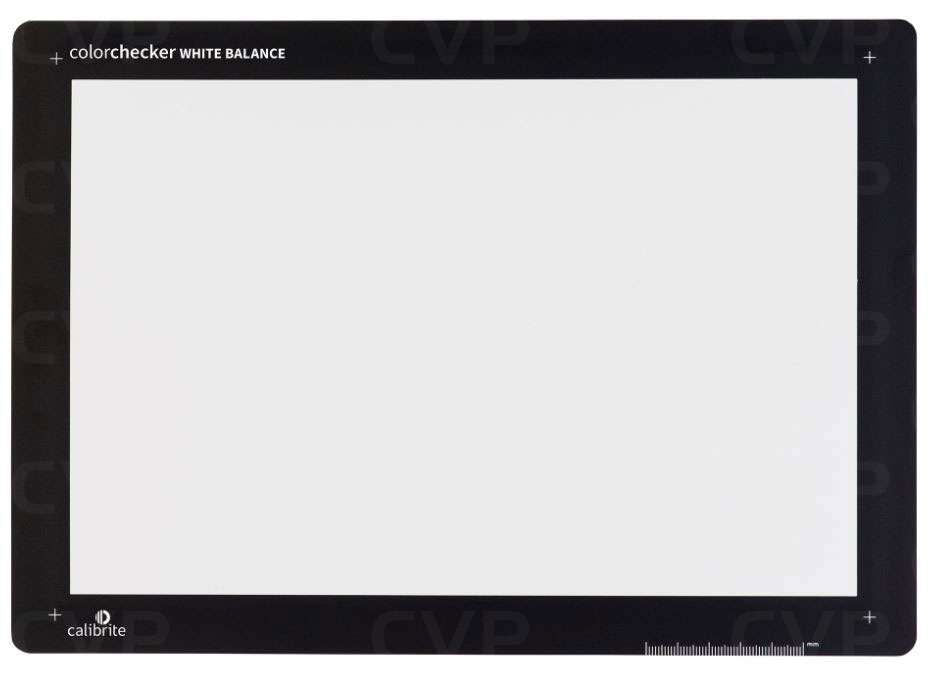 ColorChecker White Balance panel, blank white square on black frame