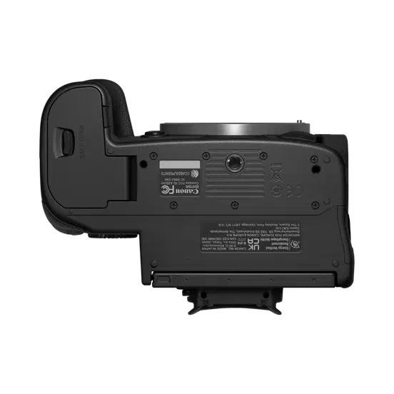 Black mirrorless camera back view showing rear screen hinge and label panel