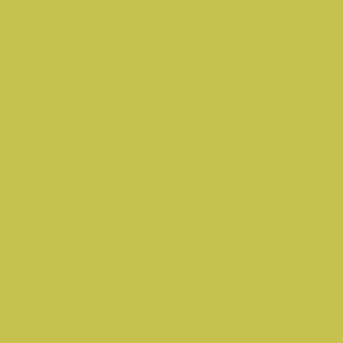Mustard green photo backdrop surface, seamless solid color for backdrops and shoots