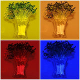 Patru efecte de lumină cu filtre: verde, portocaliu, roșu și albastru