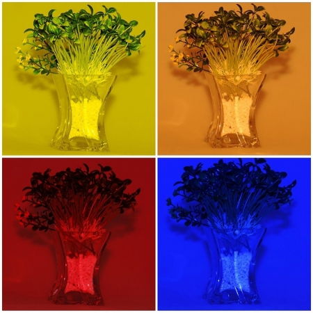 Patru efecte de lumină cu filtre: verde, portocaliu, roșu și albastru