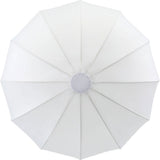Softbox Lanterna 65cm montura Bowens - View 3