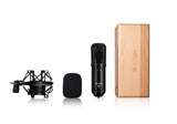 iCon M4 Microfon condenser de studio - View 2