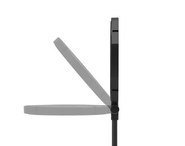 Black LED bicolor light head with side bar and angled diffuser on stand
