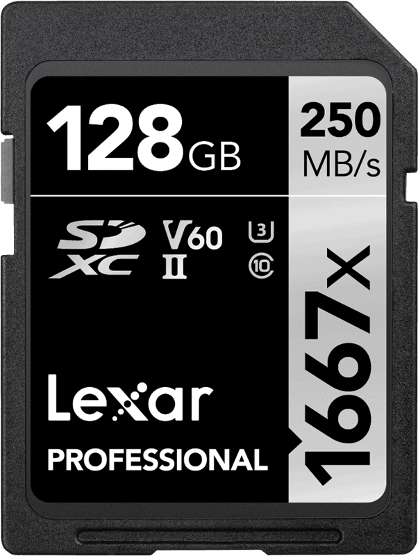 LEXAR CARD MEMORIE SILVER SDXC 1667X UHS-II V60 R250 / W120 128 GB - View 1