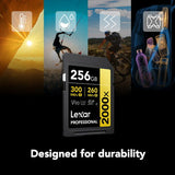 256GB SDXC Pro 2000X UHS-II SD card with 300/260 MB/s V90 marking