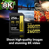 256GB SDXC Pro 2000X UHS-II SD card showing up to 300MB/s read and 260MB/s write