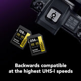 Two 256GB SDXC Pro 2000X UHS-II SD cards showing 300 MB/s read and 260 MB/s write