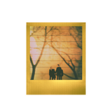 Polaroid Film pentru aparate foto instant Golden Moments 16buc - View 3