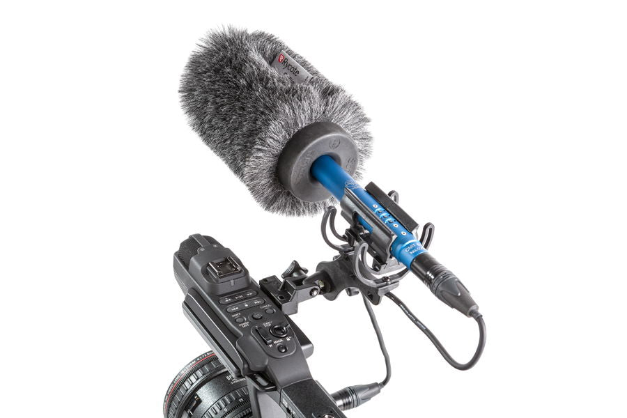 Furry windscreen over shock mount; blue center coupling on camera rig