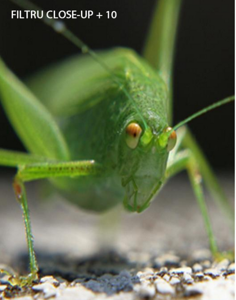 Resigilat: Schneider B+W Filtru foto Macro+10 52mm - View 2