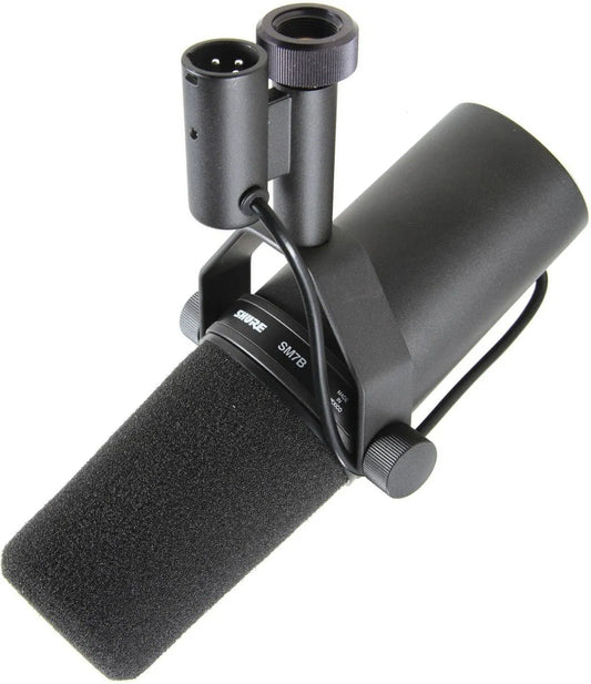 Broadcast/podcast microphone with foam windscreen, side view, black grille and body