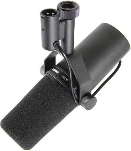 Black broadcast microphone with foam windscreen and shock mount, showing connector ports