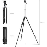 Tripod with marked height ranges and inset views of legs and head