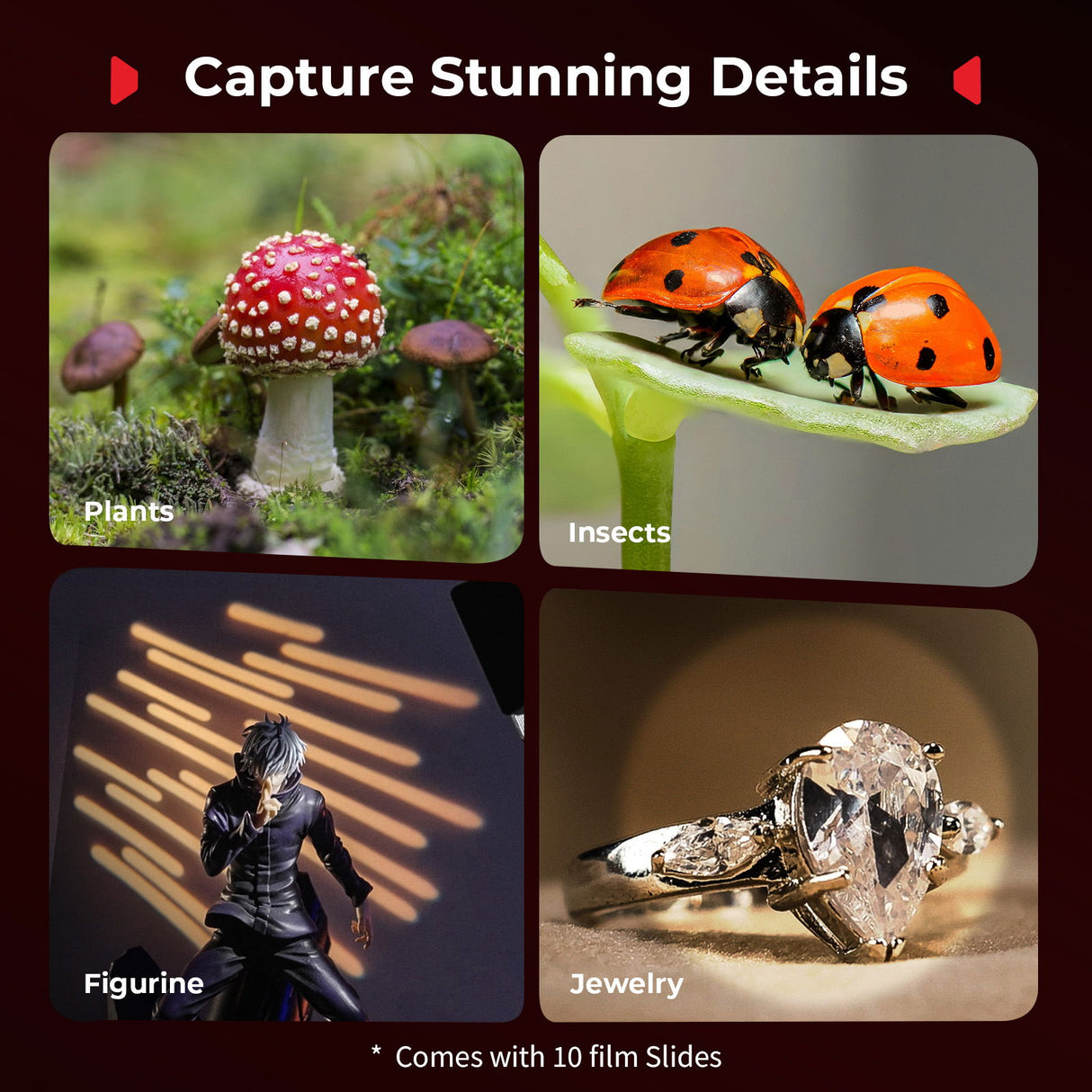 Macro LED light projecting pattern beams for close-up subjects; film slide set included